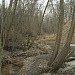 Пойма Путилковского оврага в городе Москва