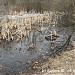 Заболоченный участок на Казённом ручье в городе Москва