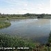 Пруд в городе Долгопрудный