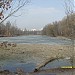 Большой (Нижний) пруд на реке Гвоздянке в городе Москва