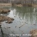 Правобережная долина р. Яузы с водоёмом (остатки старого русла р. Яузы) в городе Москва