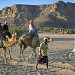   مجمع   بيع مواد و معدات البناء  treding-centr في ميدنة مـــــــديـــــنة الــــحديــــــدة 