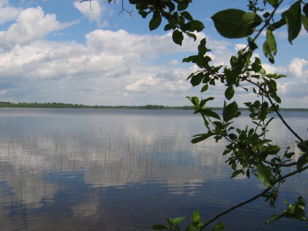 Рыбалка на озерах мошенского района Рыбалка на озерах мошенского района