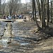 Родник в тальвеге оврага Каменная Клетва  в городе Москва