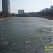 Пойма реки Городни в городе Москва