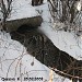 Правый приток р. Чермянки в городе Москва