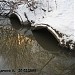 Коллектор р. Чермянки под трубой канализационного коллектора в городе Москва
