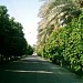 Jahrom