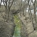 Открытое русло Карачаровского ручья (ручья Фрезер) в городе Москва
