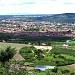 Gravatá