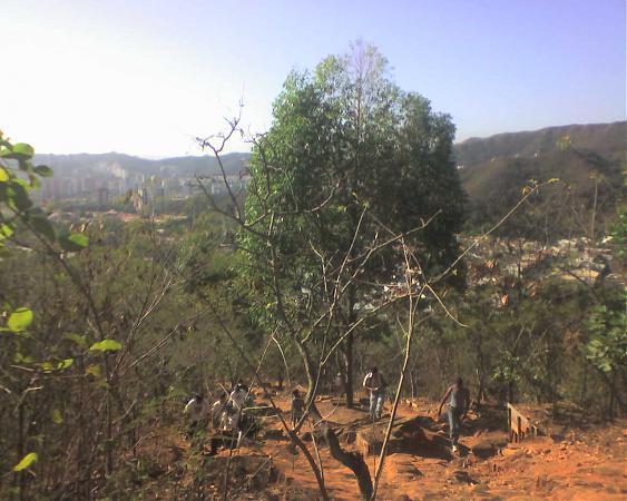Parque Municipal Cerro El Casupo Municipio Valencia