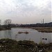 Тереховское болото в городе Москва