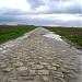 Paris-Roubaix secteur 5 : pavé de Camphin-en-Pévèle