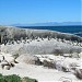 Boulders Beach in Cape Town city