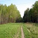 Просека водоканала в городе Москва