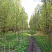 Просека водоканала в городе Москва