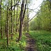 Просека водоканала в городе Москва