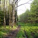 Просека водоканала в городе Москва