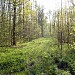 Заболоченный участок в городе Москва