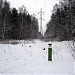 Просека ЛЭП в городе Москва