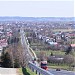Rogi
