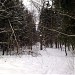 Просека от Иркутской ул. до МКАД в городе Москва