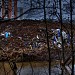 Пруд в городе Москва