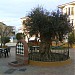 Plaza de la Constitución o 