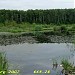 Захоронение химических отходов в городе Москва