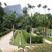 Rio de Janeiro Botanical Garden in Rio de Janeiro city