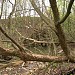 Коллекторная труба под бывшей железнодорожной насыпью (ru) in Moscow city