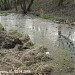 Правобережная старица р. Яузы с фрагментом низкой поймы в городе Москва