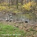 Пруд в городе Москва