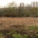 Западное, Центральное и Восточное болото Сходненского ковша в городе Москва