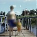 Понтонный мост в городе Долгопрудный