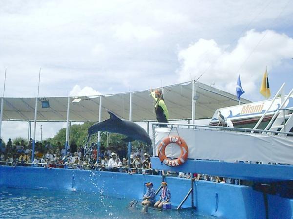 miami deniz akvaryumu