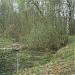 Заболоченный пруд (ru) in Moscow city