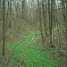 Pustoshkin ravine in Moscow city