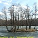 Остров в городе Москва
