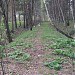 Участок насыпи разобранной Коммунарской железнодорожной ветки в городе Москва