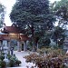 Chùa Lân - Thiền Viện Trúc Lâm Yên Tử (vi) in Uông Bí city