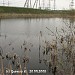 Pond