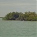 Hara Forests Protected Area  - Mangrove forests