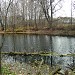 Пруд Быковка в городе Москва