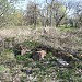 Здесь находился последний дом деревни Теплый Стан в городе Москва
