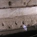 قبر السيدة العذراء  في ميدنة القدس الشريف 