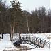 Декоративный пешеходный мост через протоку Бабаевского пруда в городе Москва