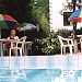Мини-гостиница «Пальмовый рай» в городе Сочи
