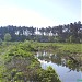 Пруд в городе Киев