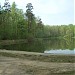 Собачий пруд (Совхозный № 1) в городе Москва